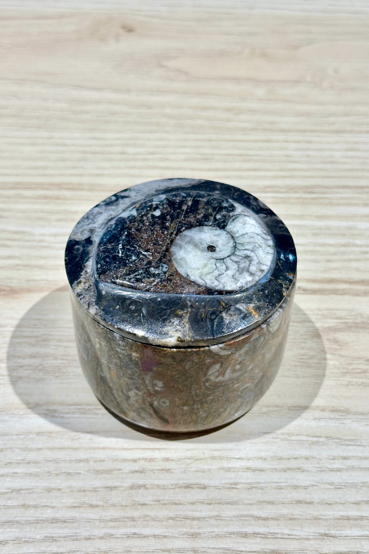 Ammonite Fossil Trinket Box