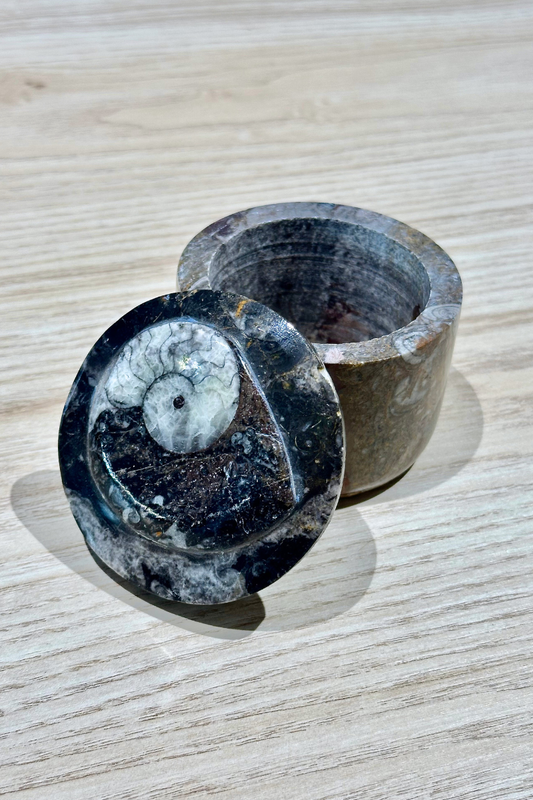 Ammonite Fossil Trinket Box
