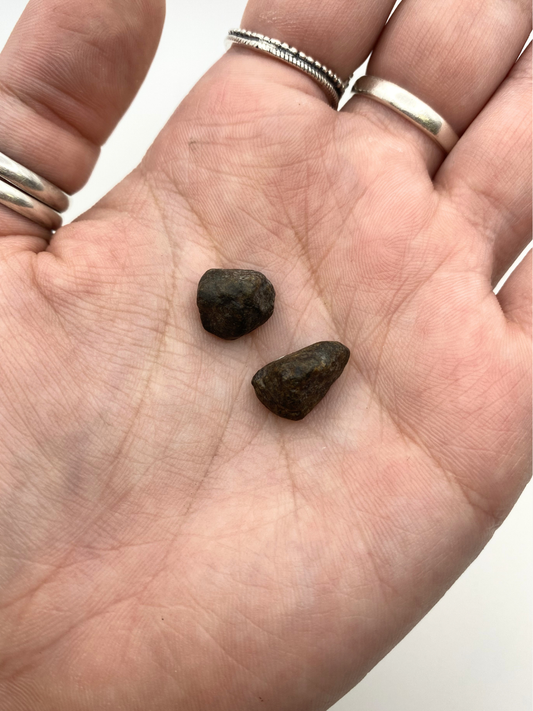 Genuine Authentic Moroccan Stony Meteorite - Small
