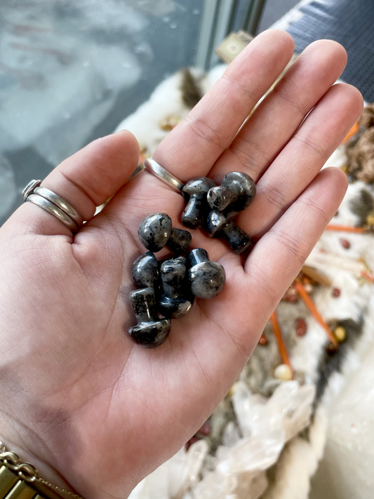 Larvikite Mini Mushroom