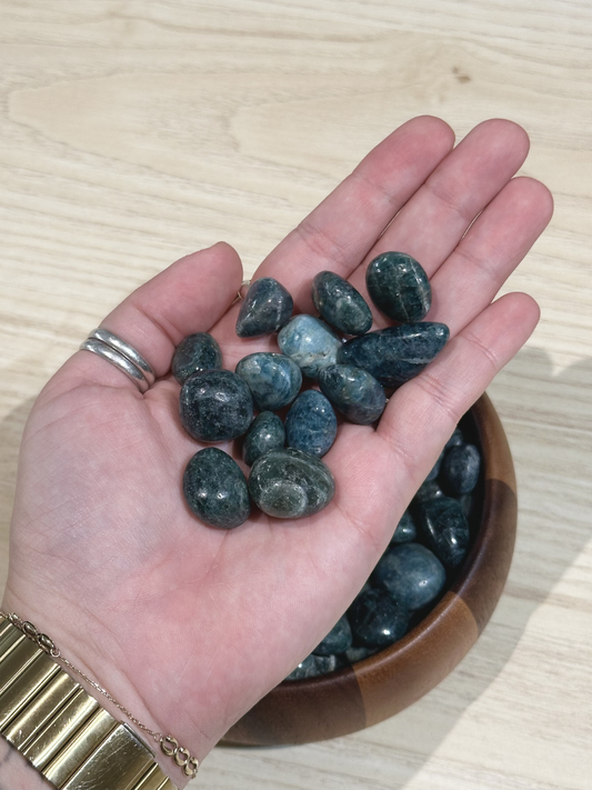 Blue Apatite Small Tumble