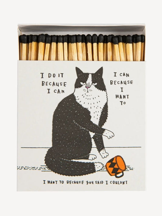 I Do It Because I Can | Square - Safety Matches