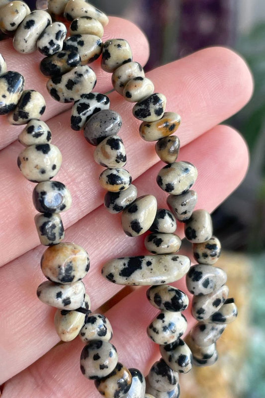 Dalmatian Jasper Chip Bracelet