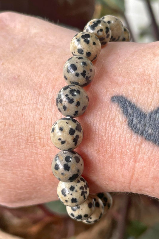 Dalmatian Jasper 10mm Bracelet