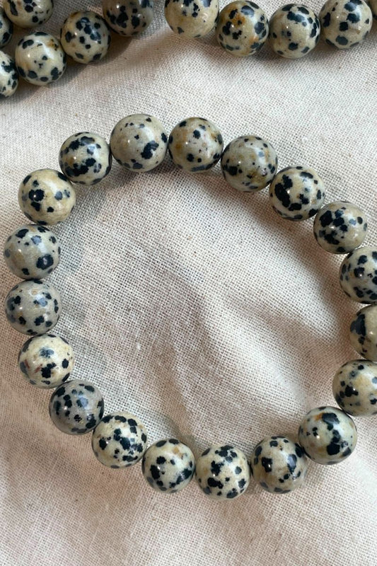 Dalmatian Jasper 10mm Bracelet