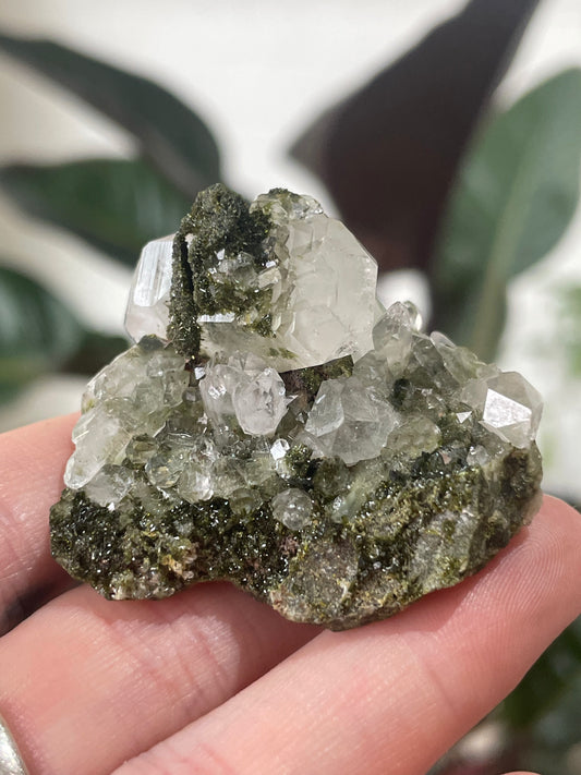Epidote in Quartz Specimen C