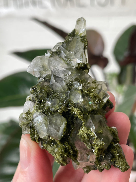 Epidote in Quartz Specimen A
