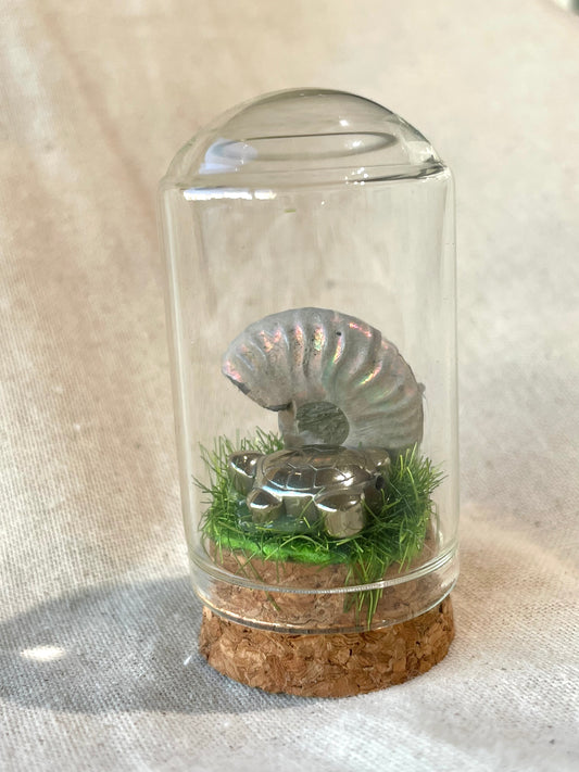 Ammonite Turtle Terrarium