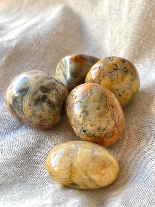 Crazy Lace Agate Tumble