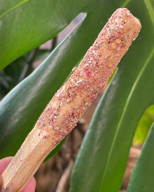 Palo Santo Herb Stick