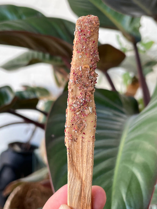Palo Santo Herb Stick