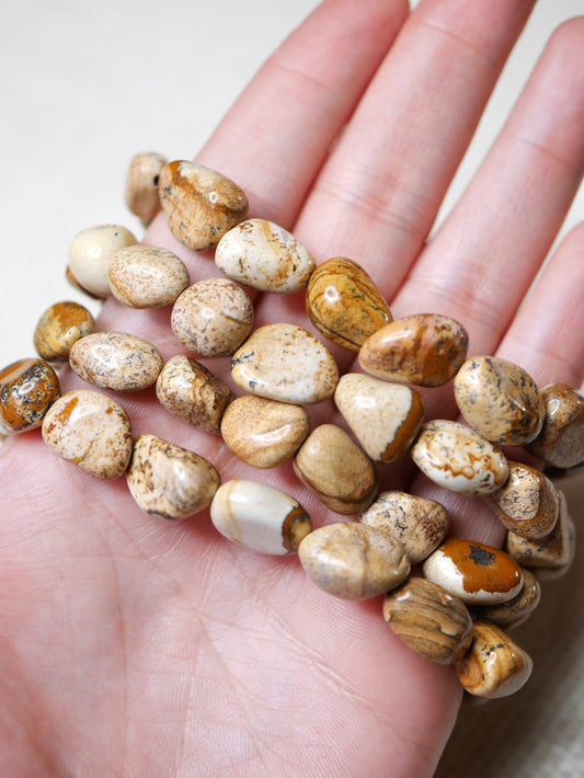 Picture Jasper Tumbled Bracelet