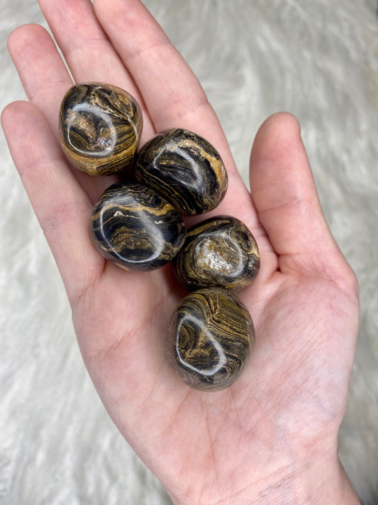 Stromatolite Tumbled Stones