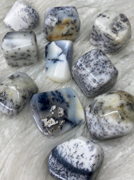 Dendritic Agate Large Tumbled Stone