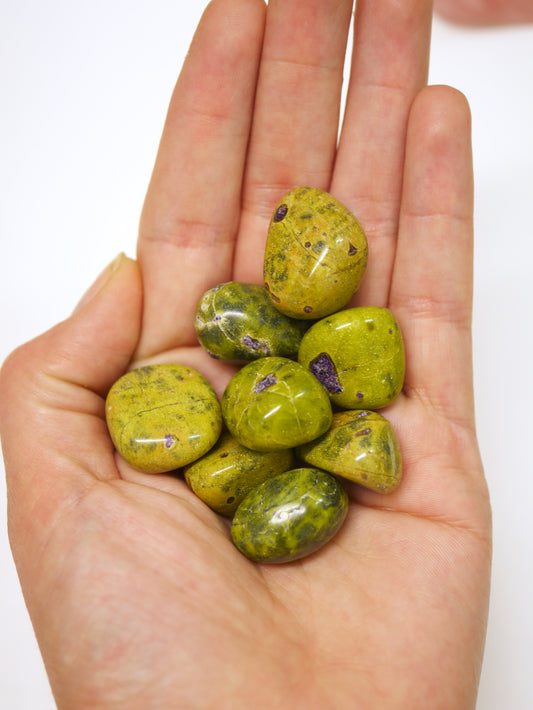 Stichtite in Serpentine/ Atlantisite Tumbled Stone