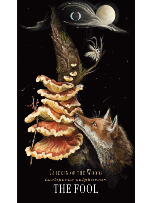 Midnight Magic Tarot Deck Of Mushrooms