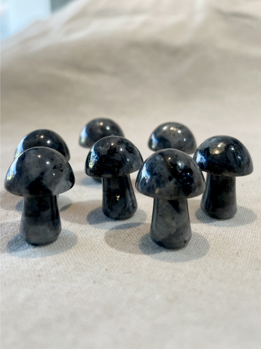 Larvikite Mini Mushroom