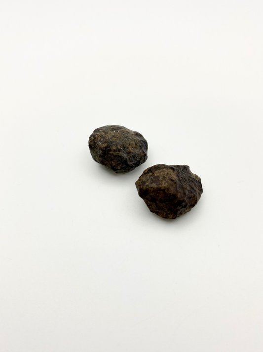 Genuine Authentic Moroccan Stony Meteorite - Medium