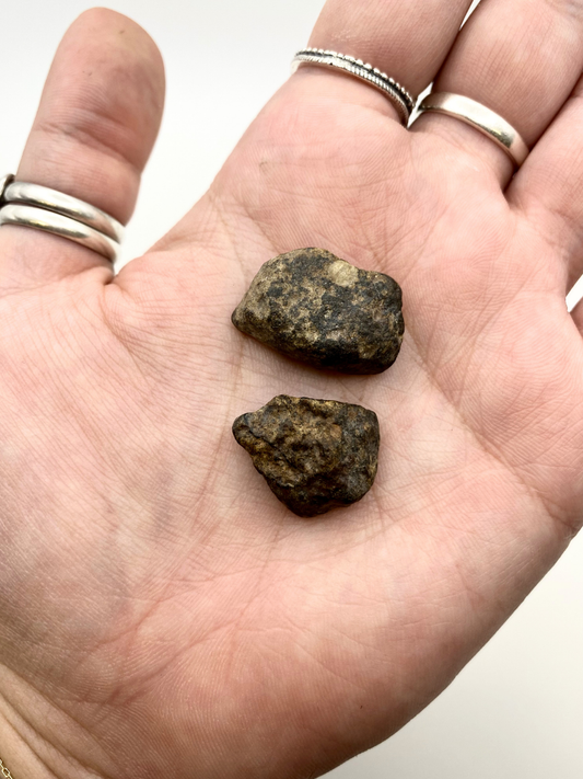 Genuine Authentic Moroccan Stony Meteorite - Large