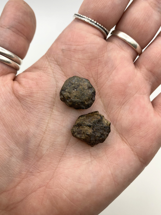 Genuine Authentic Moroccan Stony Meteorite - Medium
