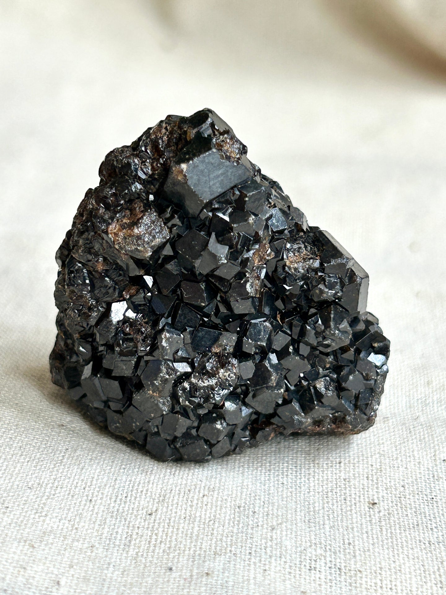 Garnet black discount