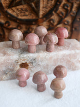 Load image into Gallery viewer, Rhodonite Mini Mushroom
