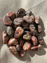 Load image into Gallery viewer, Leopard Jasper Small
