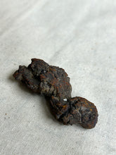 Load image into Gallery viewer, Coprolite
