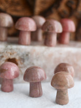 Load image into Gallery viewer, Rhodonite Mini Mushroom

