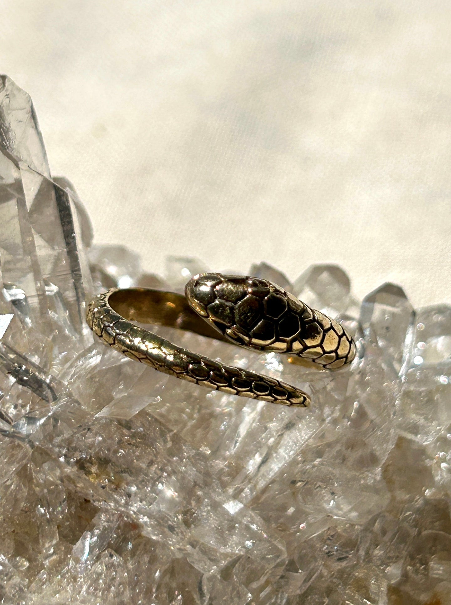 Brass Snake Ring
