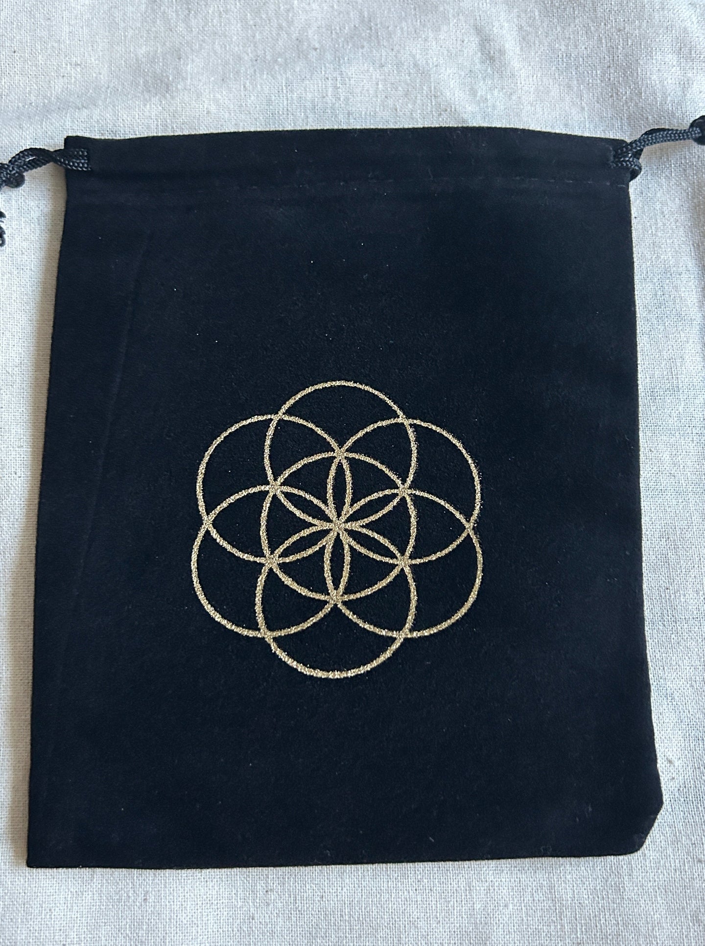 Black Velvet Pouch