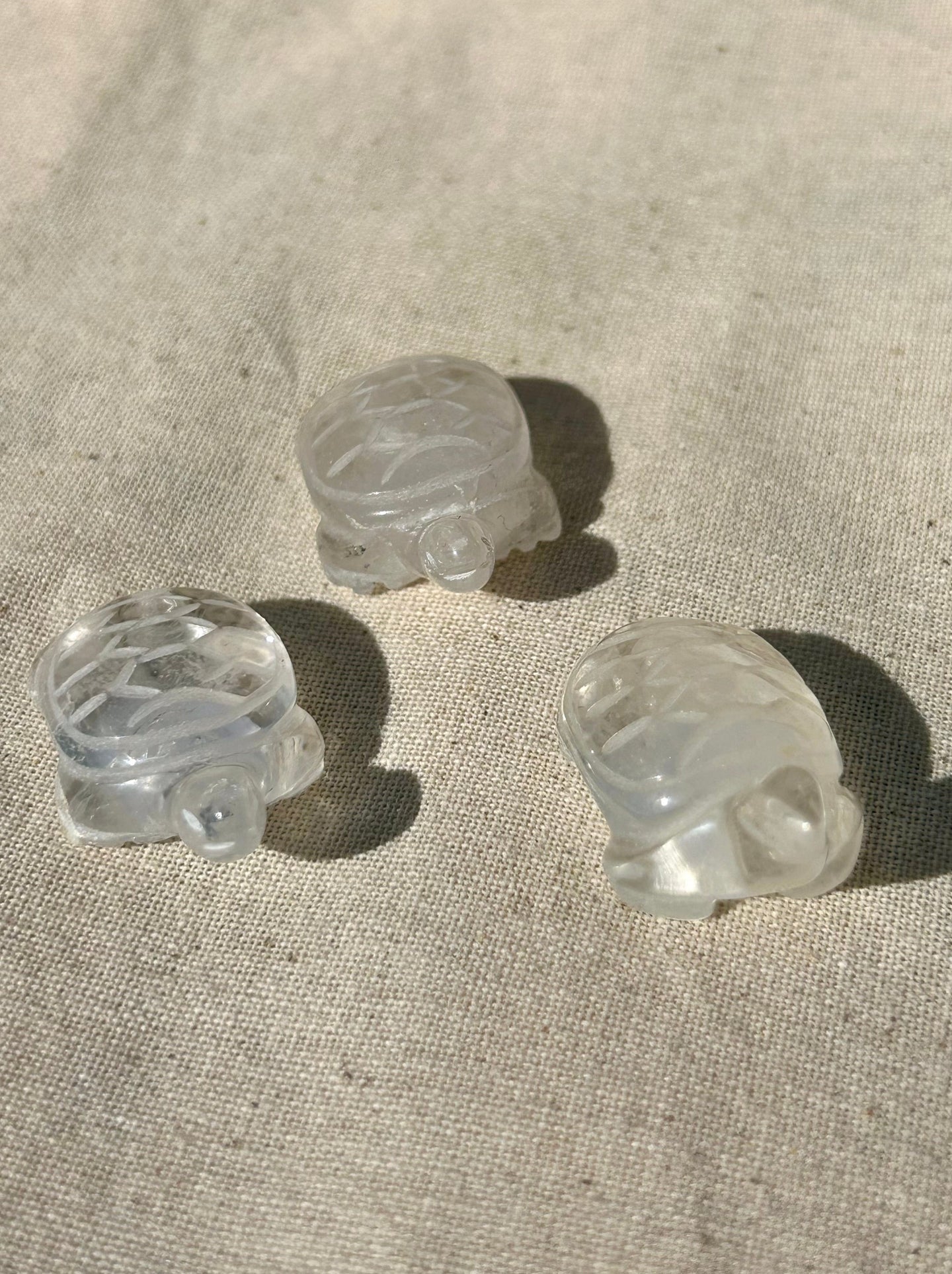 Clear Quartz mini turtle