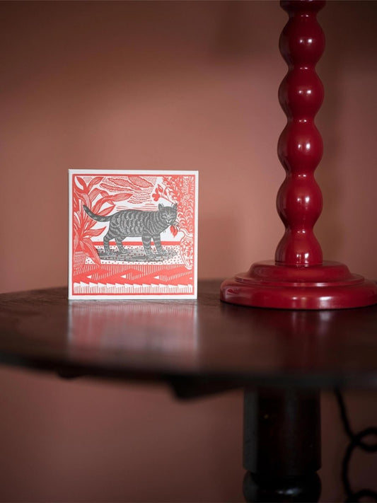 Sasha The Cat - Luxury Matches