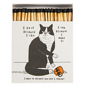 I Do It Because I Can | Square - Safety Matches