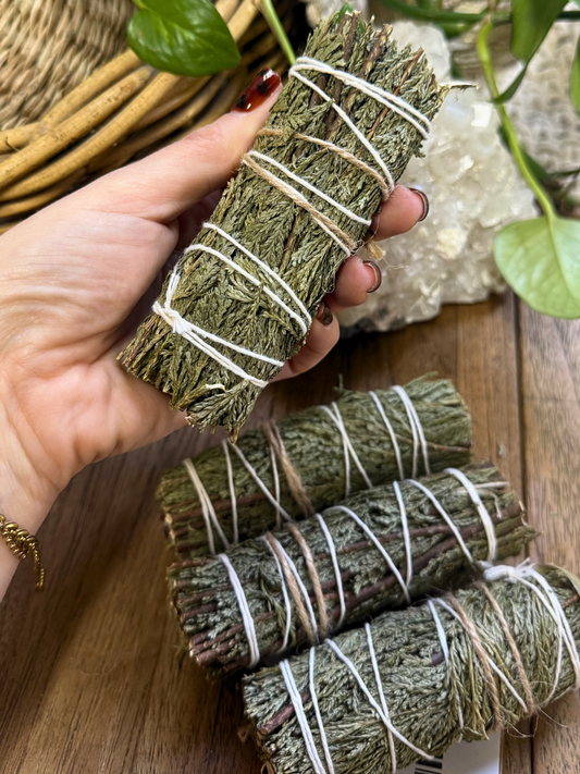 Cedar Bundle