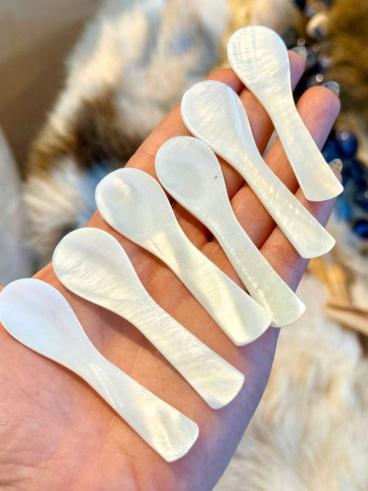 Shell Spoons