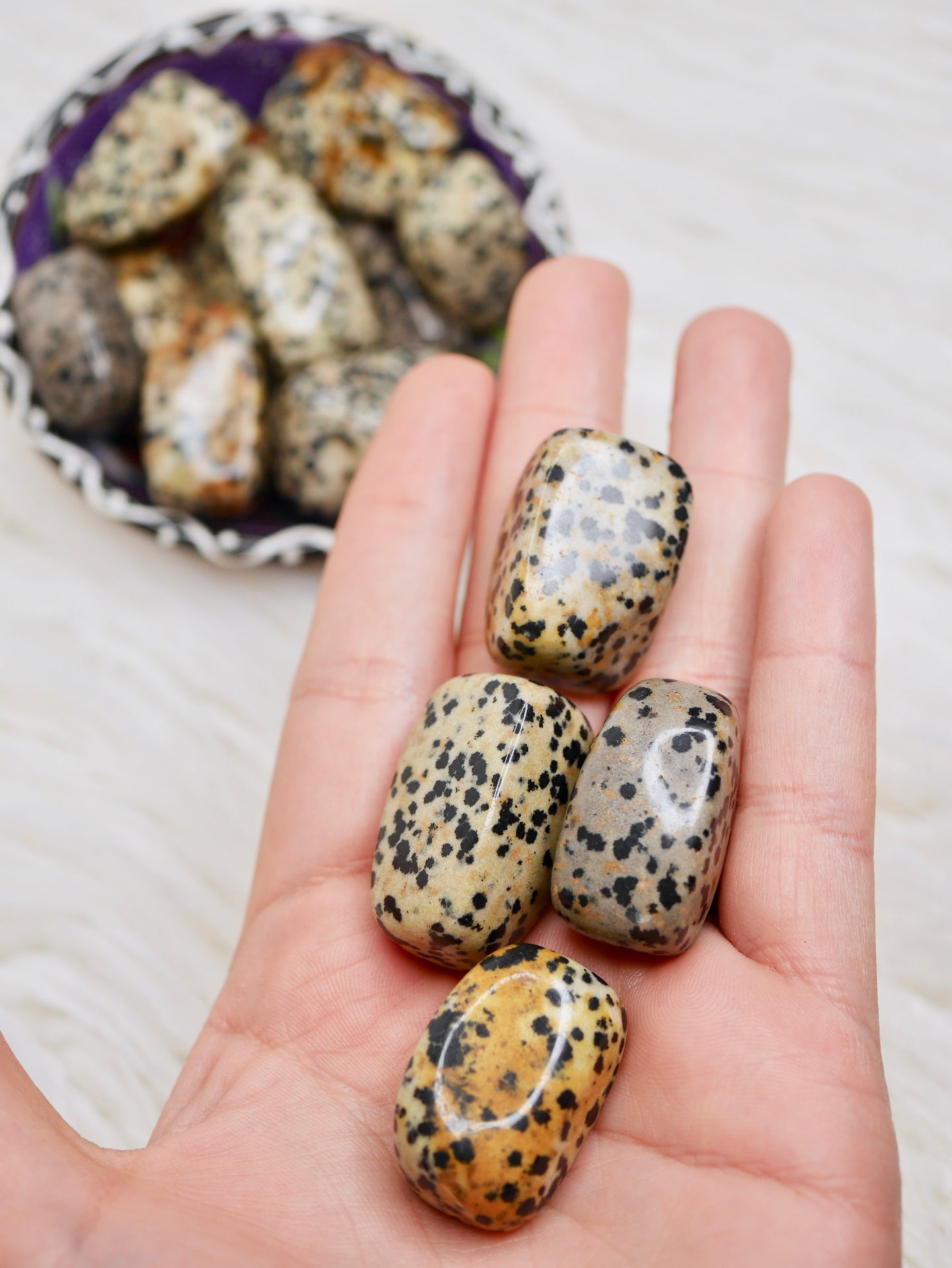 Dalmatian jasper tumbled stones