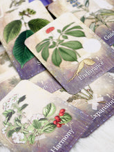Load image into Gallery viewer, Magickal Herb Oracle
