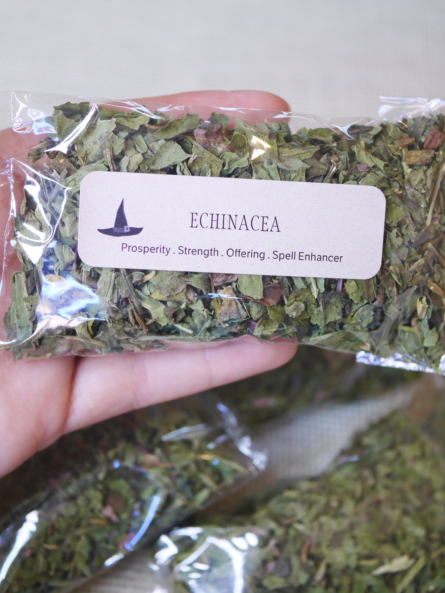 Echinacea