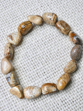 Load image into Gallery viewer, Picture Jasper tumbled bracelet
