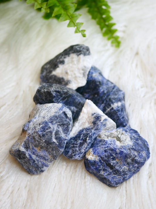 Sodalite Rough Chunks
