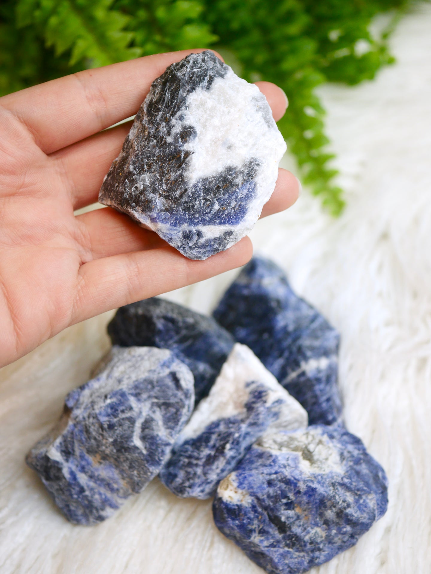 Sodalite rough chunks