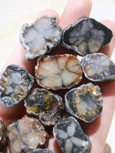 Load image into Gallery viewer, chiastolite raw
