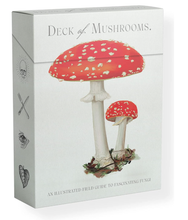 Load image into Gallery viewer, The Deck of Mushrooms: An illustrated field guide to fascinating fungi

