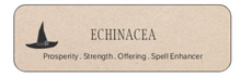Load image into Gallery viewer, Echinacea
