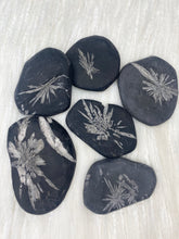 Load image into Gallery viewer, Chrysanthemum Stone
