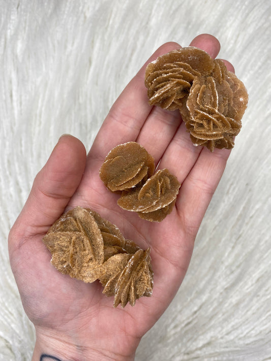 Desert Rose - Morocco