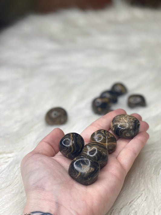 Stromatolite Tumbled Stones