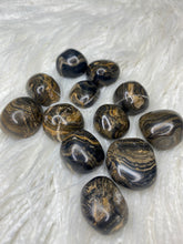 Load image into Gallery viewer, Stromatolite Tumbled Stones
