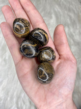 Load image into Gallery viewer, Stromatolite Tumbled Stones
